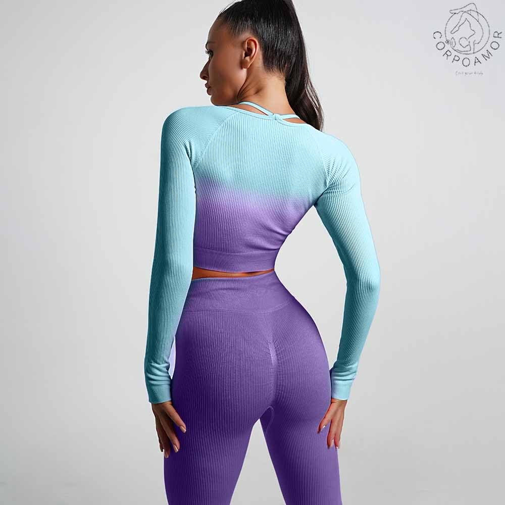 Women'S Fitness Clothing Gym Outfit and Yoga Workout Set Crop Top and High Waisted Leggings Ombre Gradient 2 Piece Set (Purple/Blue, Small)
